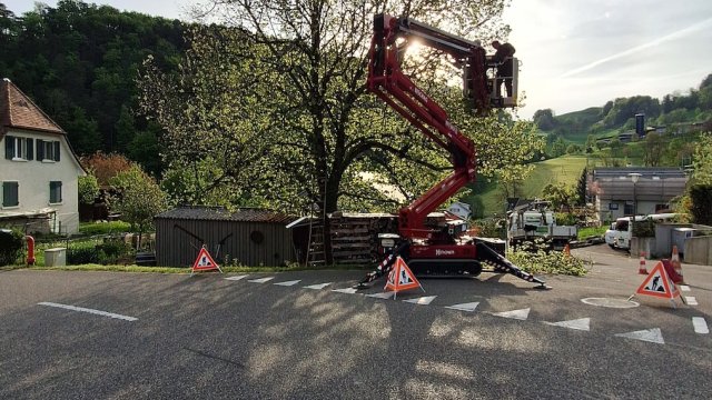 Fachgerechter Schnitt von Bäumen, Sträuchern und Hecken