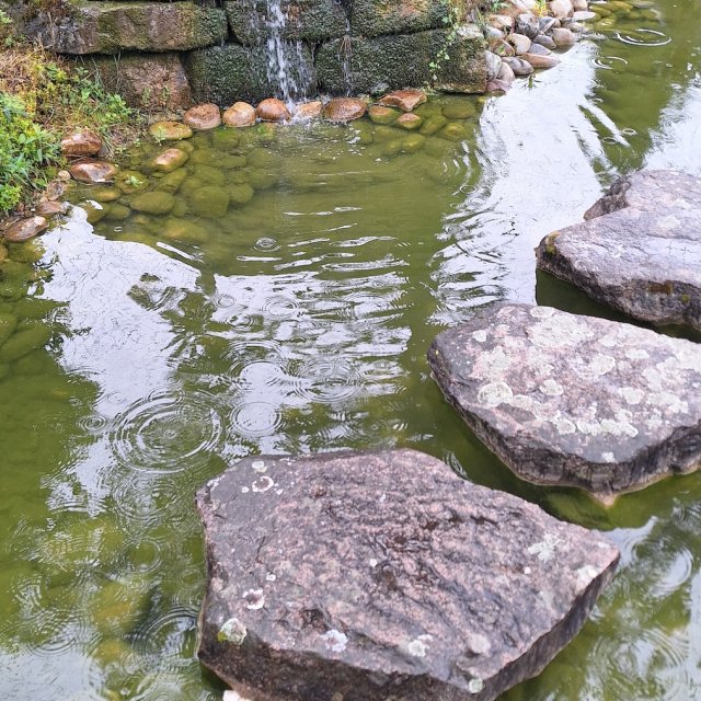 Biotope und Quellsteine