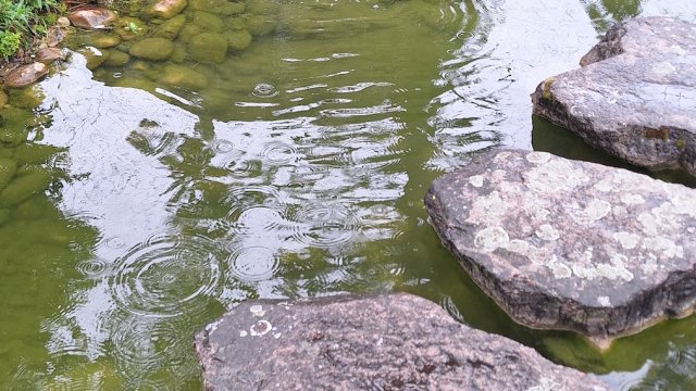 Biotope und Quellsteine