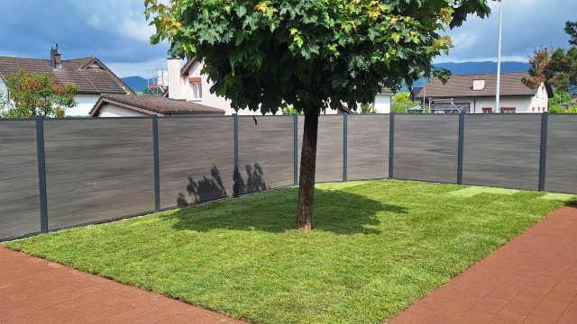 Rasensanierungen und –pflege