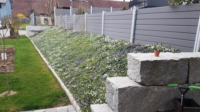 Sichtschutz